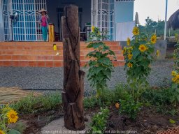 20180515_171319_900_